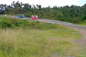 Fra Nairobi: Guidet fugletur