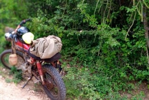 Fra Nairobi: Guidet fugletur