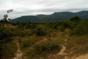 Fra Nairobi: Guidet fugletur