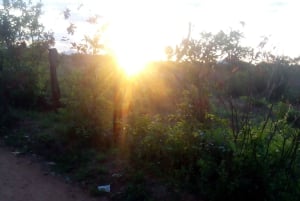 Fra Nairobi: Guidet fugletur