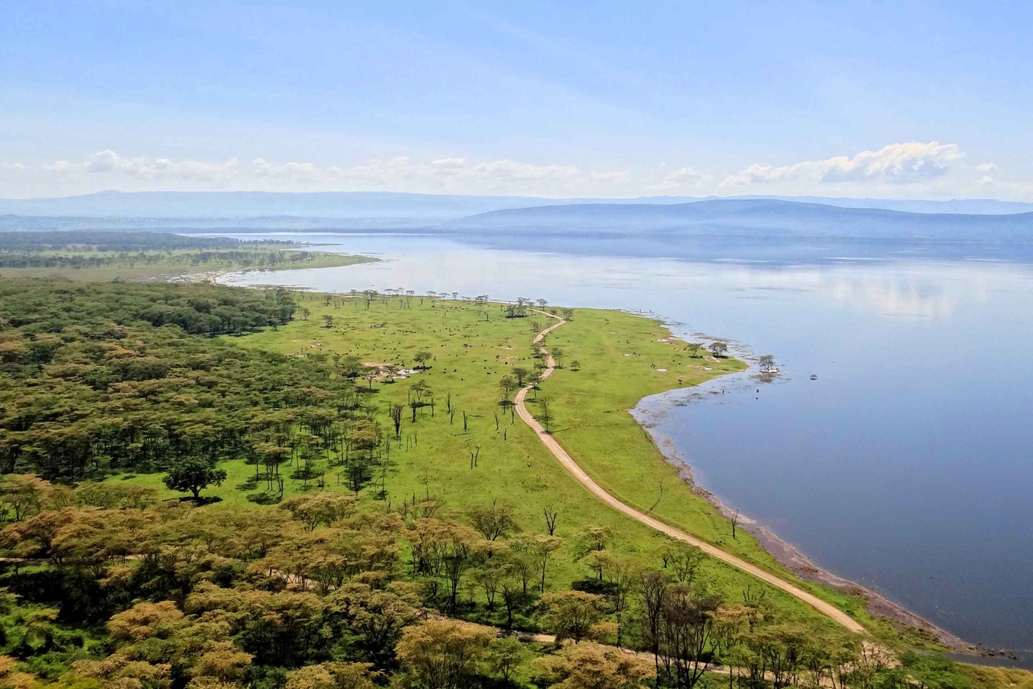 Fra Nairobi: Guidet dagstur til Nakuru Lake nasjonalpark