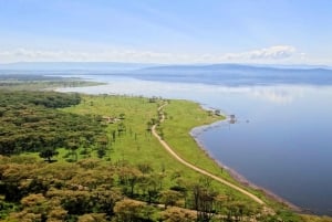 De Nairóbi: Passeio guiado de um dia ao Parque Nacional do Lago Nakuru