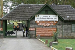 Vanuit Nairobi: Dagtrip Nationaal Park Nakuru Lake met gids