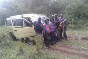 Da Nairobi: gita di un giorno all'Hell's Gate National Park