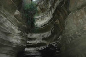 FROM NAIROBI:HELL'S GATE AND LAKE NAIVASHA DAY TRIP.