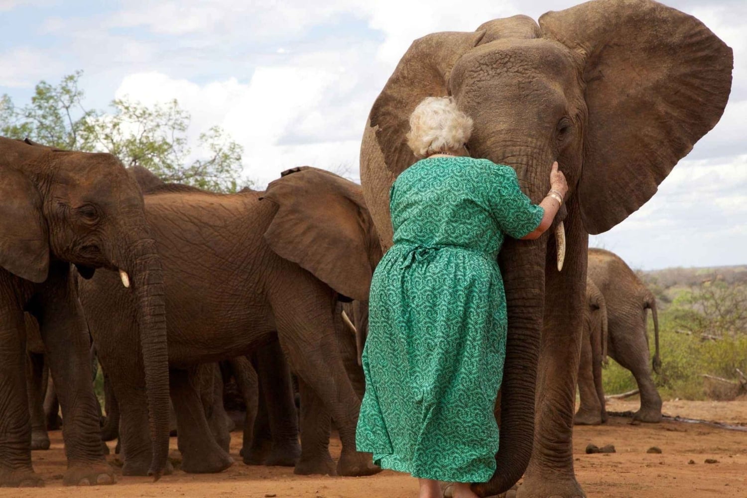 Från Nairobi: Karen Blixen, Giraffcentret och Baby Elephant
