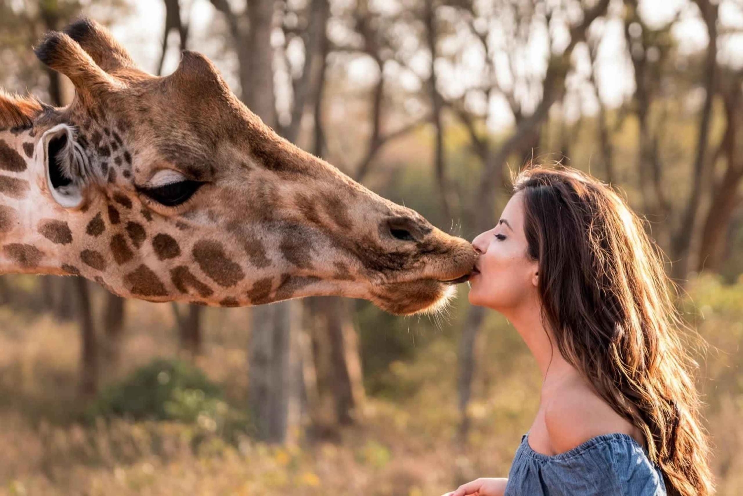 Från Nairobi: Karen Blixen, Giraffcentret och Baby Elephant