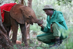 From Nairobi: Karen Blixen, Giraffe Centre and Baby Elephant