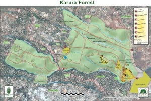 From Nairobi: Karura Forest Nature Hike
