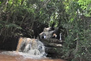 From Nairobi: Karura Forest Nature Hike
