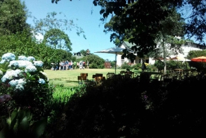 From Nairobi: Kiambethu Tea Farm Tour & Lunch