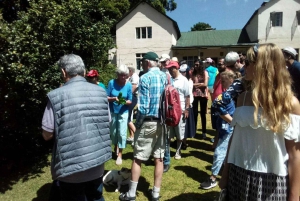 From Nairobi: Kiambethu Tea Farm Tour & Lunch
