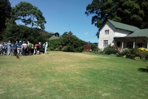 From Nairobi: Kiambethu Tea Farm Tour & Lunch