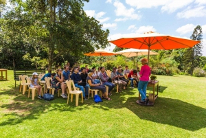 From Nairobi: Kiambethu Tea Farm Tour & Lunch