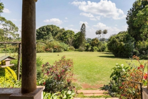 From Nairobi: Kiambethu Tea Farm Tour & Lunch