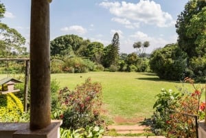 Från Nairobi: Kiambethu Tea Farm Tour & Lunch
