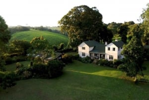 Da Nairobi: Tour della fattoria del tè Kiambethu e pranzo