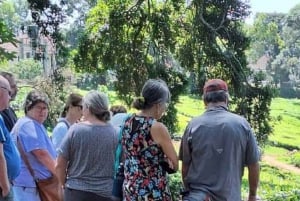 Da Nairobi: Tour della fattoria del tè Kiambethu e pranzo