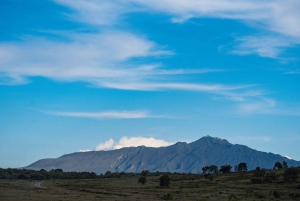Au départ de Nairobi : Excursion d'une journée au lac Naivasha et au parc Hell's Gate