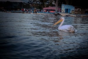 Del lago Naivasha a Nairobi: excursión de 1 día con paseo en barco y quad