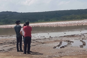 Da Nairobi: Escursione di un giorno al Parco Nazionale del Lago Nakuru