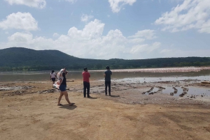 Da Nairobi: Escursione di un giorno al Parco Nazionale del Lago Nakuru