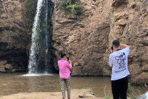 Da Nairobi: Escursione di un giorno al Parco Nazionale del Lago Nakuru