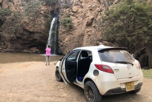 Da Nairobi: Escursione di un giorno al Parco Nazionale del Lago Nakuru