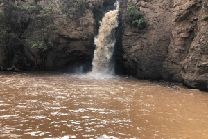 Da Nairobi: Escursione di un giorno al Parco Nazionale del Lago Nakuru