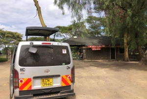 Da Nairobi: Escursione di un giorno al Parco Nazionale del Lago Nakuru