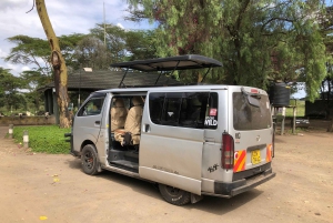 Da Nairobi: Escursione di un giorno al Parco Nazionale del Lago Nakuru