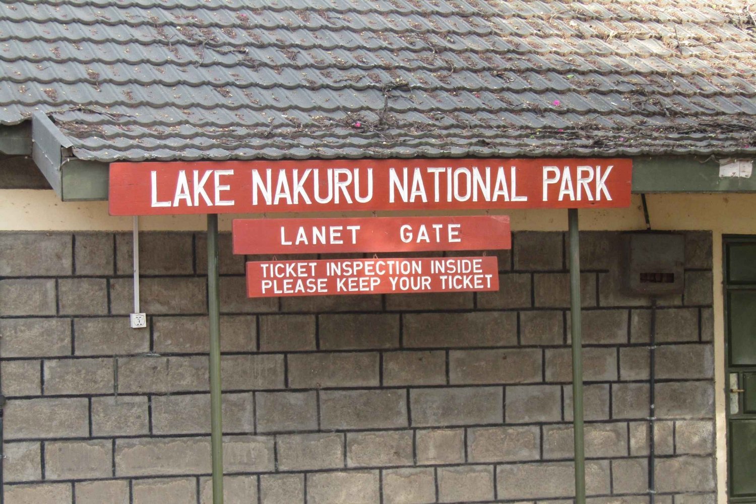 Da Nairobi: Escursione di un giorno al Parco Nazionale del Lago Nakuru