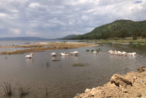 Da Nairobi: Escursione di un giorno al Parco Nazionale del Lago Nakuru