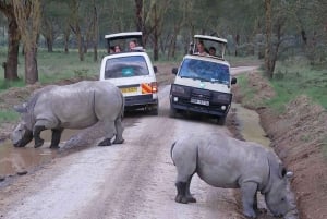 From Nairobi: Lake Nakuru National Park Full Day Tour