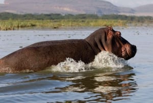 From Nairobi: Lake Nakuru National Park Full Day Tour