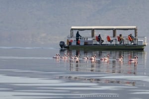 Vanuit Nairobi: Dagtocht naar de meren van Nakuru & Naivasha Nationaal Park