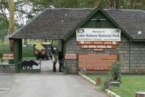 Vanuit Nairobi: Dagtocht naar de meren van Nakuru & Naivasha Nationaal Park
