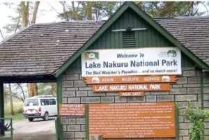 Z Nairobi: Wycieczka całodniowa do Parku Narodowego Lake Nakuru