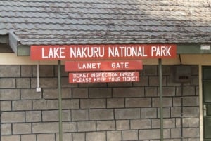 Z Nairobi: Wycieczka całodniowa do Parku Narodowego Lake Nakuru