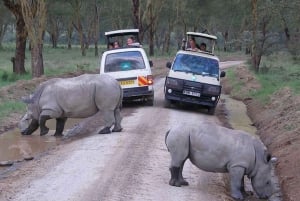 Vanuit Nairobi: Dagtocht naar de meren van Nakuru & Naivasha Nationaal Park