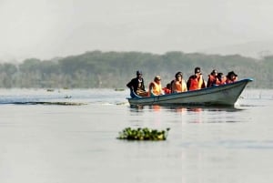 Vanuit Nairobi: Dagtocht naar de meren van Nakuru & Naivasha Nationaal Park