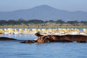 From Nairobi: Lakes Nakuru & Naivasha National Park Day Tour