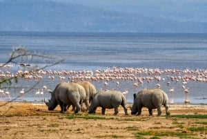 From Nairobi: Lakes Nakuru & Naivasha National Park Day Tour