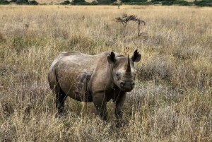 From Nairobi: Lakes Nakuru & Naivasha National Park Day Tour