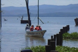 From Nairobi: Lakes Nakuru & Naivasha National Park Day Tour