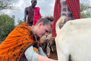 From Nairobi: Maasai Village Authentic Experience Day Tour