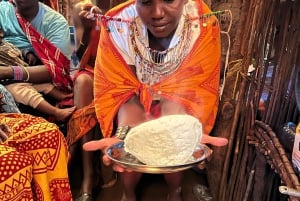 From Nairobi: Maasai Village Authentic Experience Day Tour