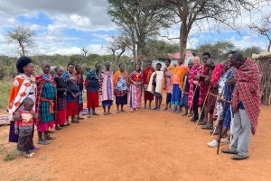 From Nairobi: Maasai Village Authentic Experience Day Tour