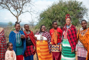 From Nairobi: Maasai Village Authentic Experience Day Tour