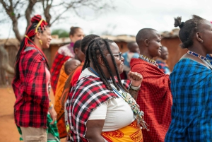 From Nairobi: Maasai Village Authentic Experience Day Tour